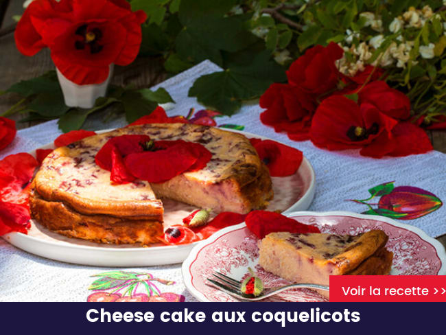 Cheese cake aux coquelicots